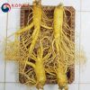 Sâm tươi Hàn Quốc 4 củ 1 kg