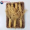 Sâm tươi Hàn Quốc 7 củ 1 kg