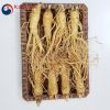 Sâm tươi Hàn Quốc 8 củ 1 kg