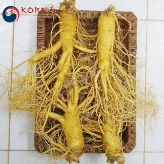 Sâm tươi Hàn Quốc 4 củ 1 kg