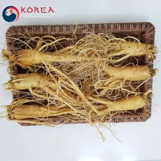 Sâm tươi Hàn Quốc 6 củ 1 kg