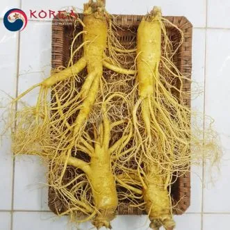 Sâm tươi Hàn Quốc 4 củ 1 kg