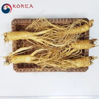 Sâm tươi Hàn Quốc 5 củ 1 kg