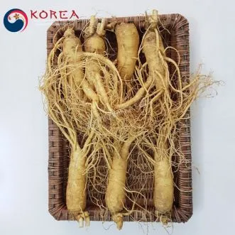 Sâm tươi Hàn Quốc 7 củ 1 kg