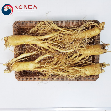 Sâm tươi Hàn Quốc 5 củ 1 kg