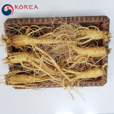 Sâm tươi Hàn Quốc 6 củ 1 kg