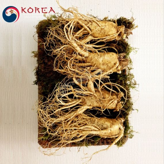 Sâm tươi Hàn Quốc 4 củ 1 kg