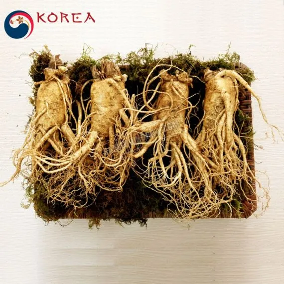 Sâm tươi Hàn Quốc 4 củ 1 kg