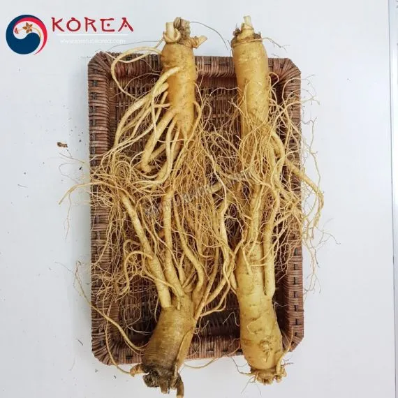Sâm tươi Hàn Quốc 4 củ 1 kg
