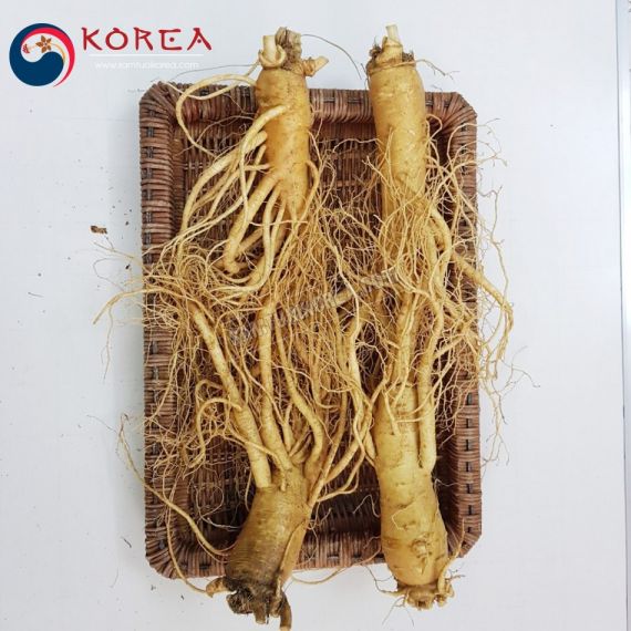 Sâm tươi Hàn Quốc 4 củ 1 kg