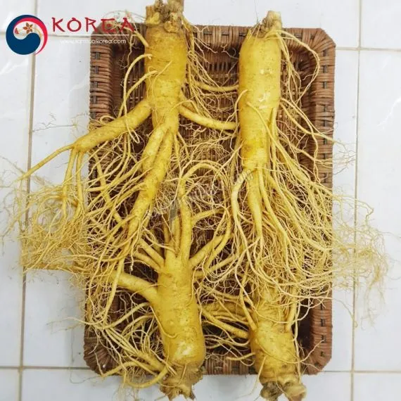 Sâm tươi Hàn Quốc 4 củ 1 kg