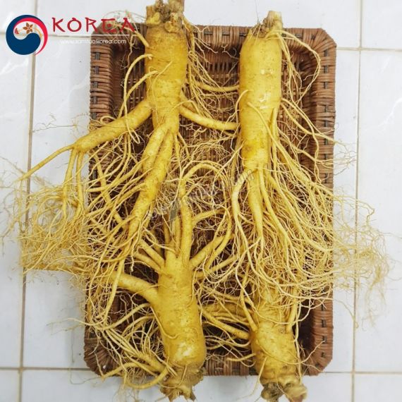 Sâm tươi Hàn Quốc 4 củ 1 kg