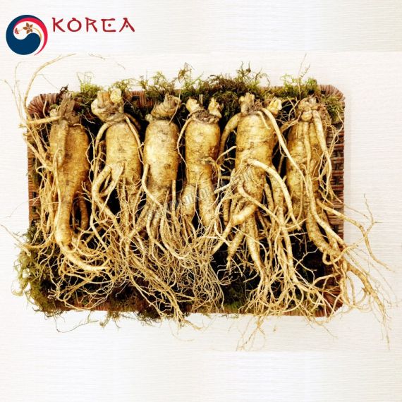 Sâm tươi Hàn Quốc 6 củ 1 kg