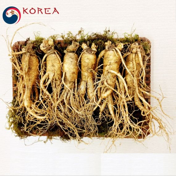 Sâm tươi Hàn Quốc 6 củ 1 kg
