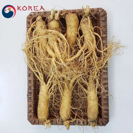 Sâm tươi Hàn Quốc 7 củ 1 kg
