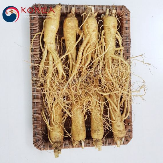 Sâm tươi Hàn Quốc 8 củ 1 kg
