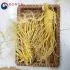 Sâm tươi Hàn Quốc 2 củ 1 kg