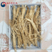 Sâm tươi hầm gà 20 - 40 củ 1 kg